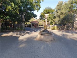 4 Bed House in Newlands