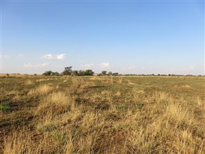 35 ha Land available in Klerksdorp