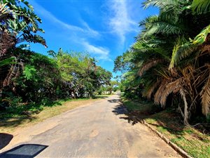 1353 m² Land available in Hibberdene