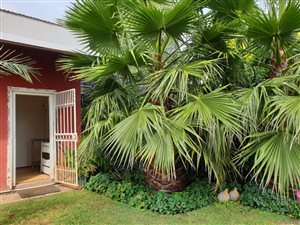 1 Bed Garden Cottage in Magaliesburg