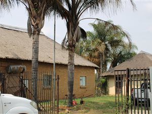 8 ha Farm in Soshanguve