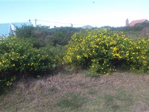 611 m² Land available in Boggomsbaai