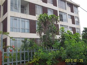 1.5 Bed Flat in Bluff