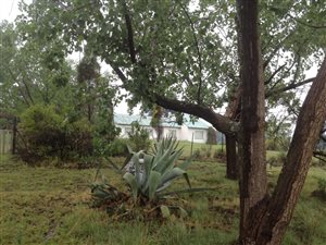 8.5 ha Farm in Honeydew