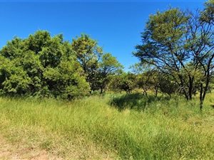 1 ha Land available in Leeuwfontein Estate