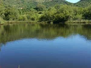 19.5 ha Farm in Mooinooi