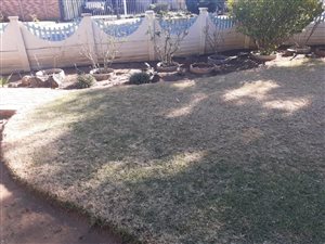 3 Bed House in Orkney Park