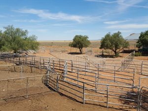 2944 ha Farm in Hopetown