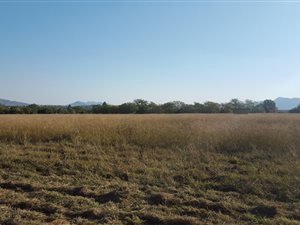 1 ha Land available in Rietfontein