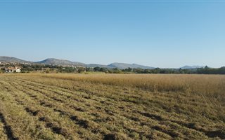 1 ha Land available in Rietfontein