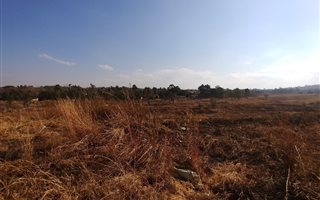 1260 m² Land available in Pioneer Park