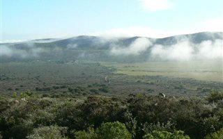 1181 ha Farm in Darling