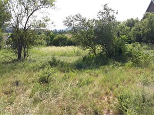 1633 m² Land available in Olifantsnek