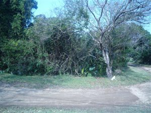 1351 m² Land available in Palm Beach