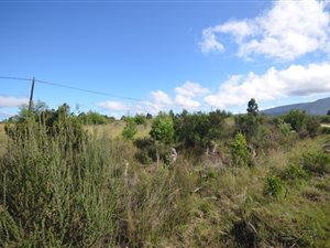 5051 m² Land available in The Crags