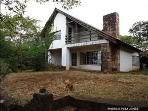 45 ha Farm in Louis Trichardt