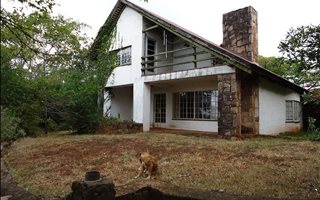 45 ha Farm in Louis Trichardt