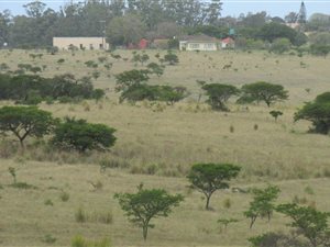 571 ha Farm in Kwelera