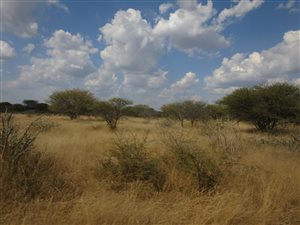 898 ha Farm in Thabazimbi