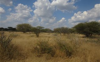 898 ha Farm in Thabazimbi