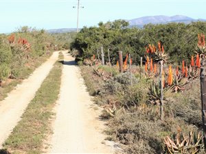 9.3 ha Farm in Port Elizabeth Central