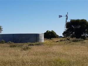 1622 ha Farm in Boshof
