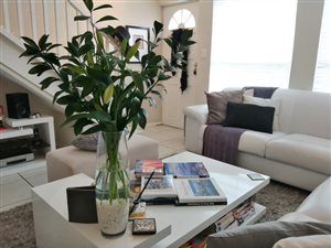 2 Bed Townhouse in Somerset Ridge