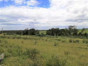 4710 m² Land available in George Central