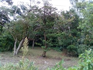 1000 m² Land available in Port Shepstone