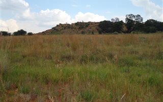 2065 m² Land available in Overkruin