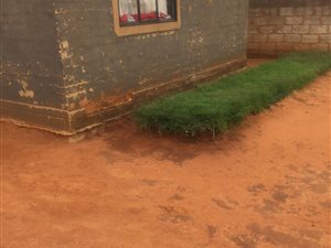 1 Bedroom House in Bram Fisherville