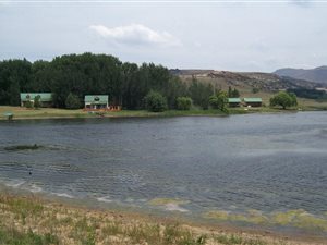 1 ha Land available in Clarens