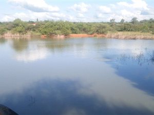 8.6 ha Farm in Wonderboom