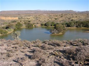 6729 ha Farm in Willowmore