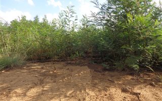 365 m² Land available in Mooikloof Glen