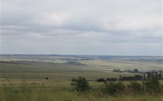 14 ha Land available in Belfast