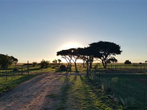 440 ha Farm in Delareyville