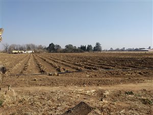 2.2 ha Smallholding in Mullerstuine