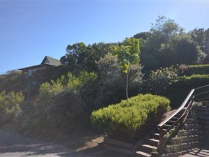 730 m² Land available in Keurboomstrand