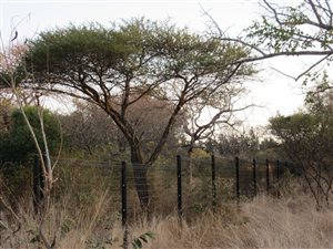 3219 m² Land available in Zandspruit Bush and Aero Estate