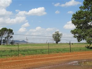 299 ha Farm in Fichardtpark