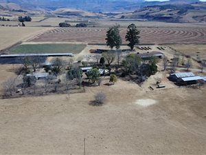 242 ha Farm in Winterton