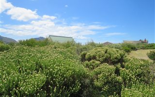 800 m² Land available in Bettys Bay
