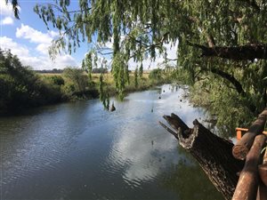 48 ha Farm in Middelburg