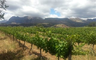 9.5 ha Land available in Dal Josafat
