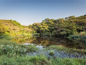 1132 m² Land available in Sheffield Beach