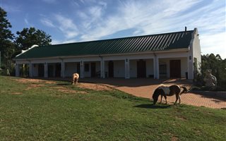 1.3 ha Land available in White River AH