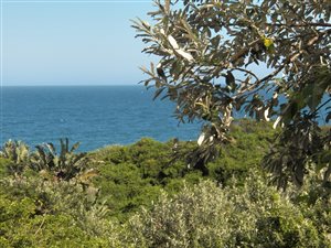 780 m² Land available in Stanger