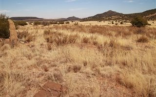 389 ha Farm in Excelsior