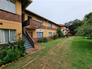 12 Bed Apartment in Lyttelton